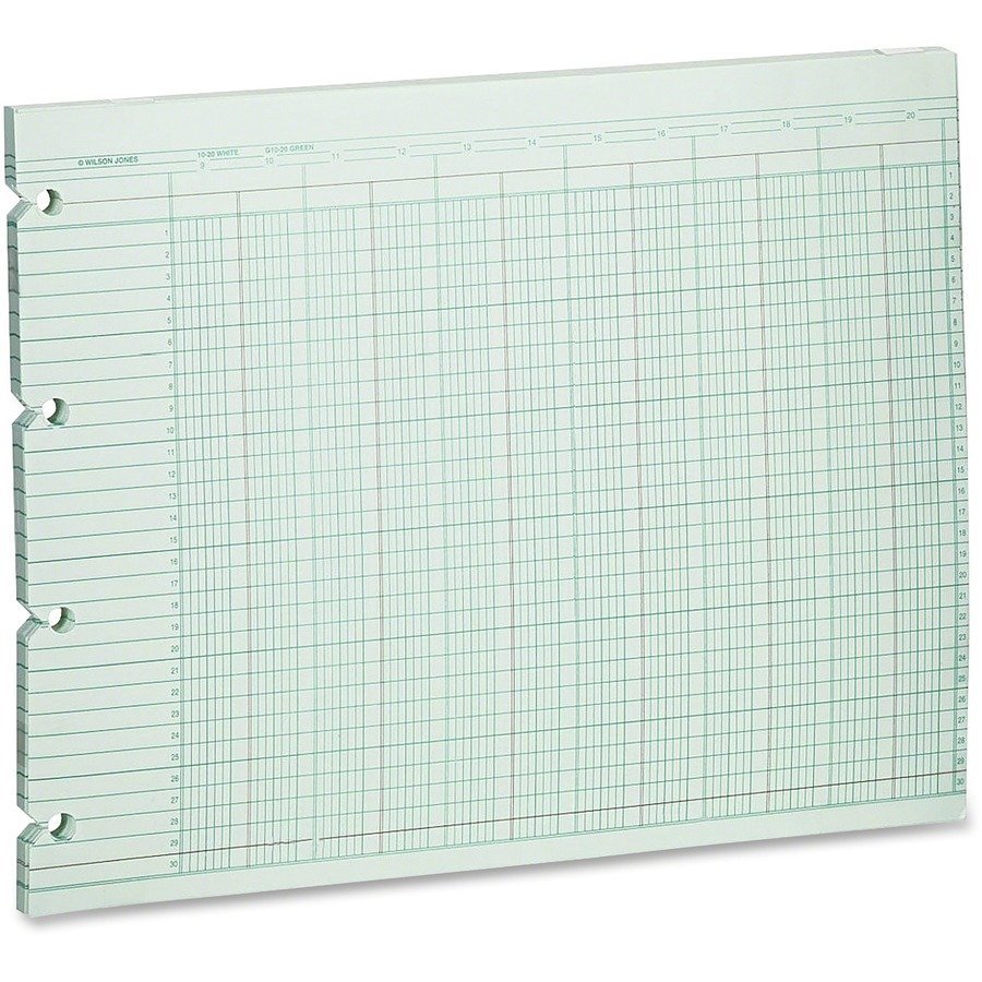 Wilson Jones 20-Column Ruled Sheets