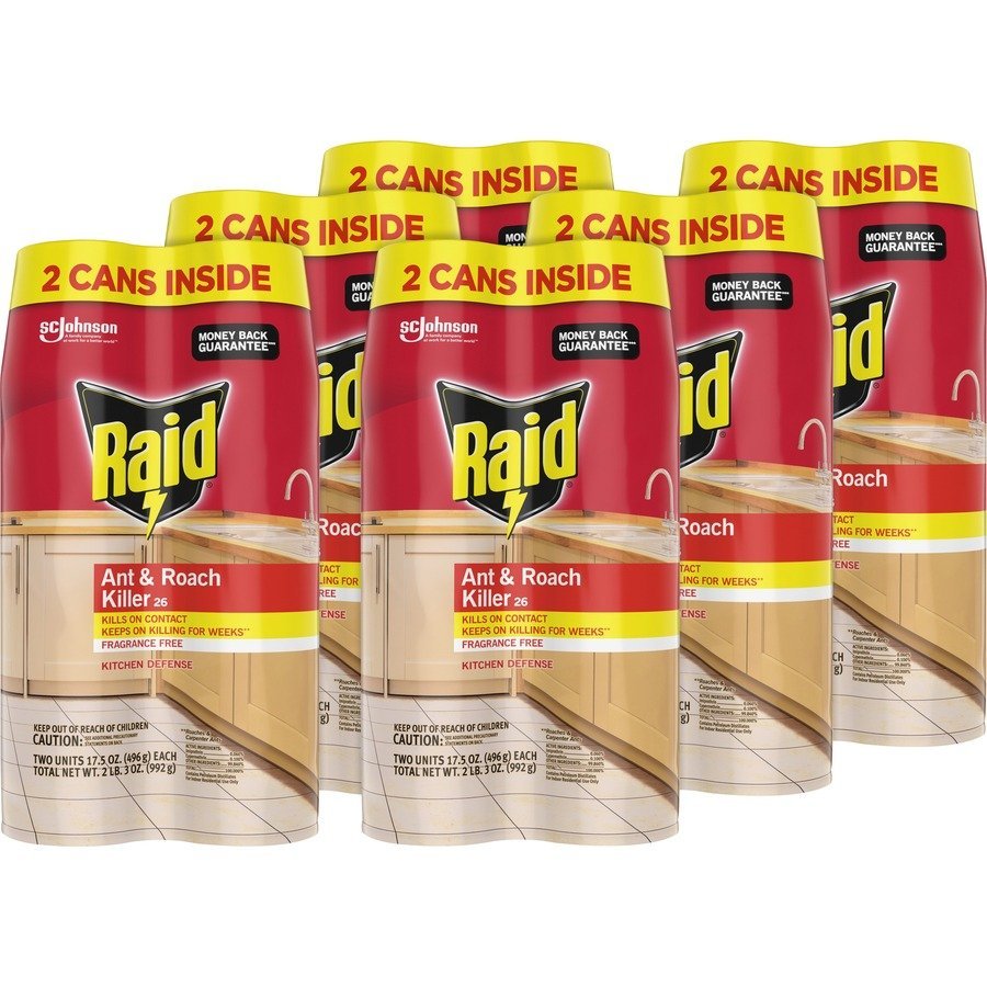 Raid Ant/Roach Killer - Fragrance-Free